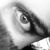 :iconpoison4love: