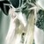 :iconpoisonedspoon:
