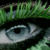 :iconpoisonnoir: