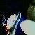 :iconpoisonous-instinct: