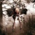 :iconpoisonraven5:
