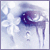 :iconPoisonSpider: