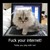 :iconpoke-poke-poke: