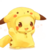 :iconpokefan211: