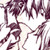 :iconpokemonaddict06: