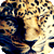 :iconpokemoncheri: