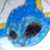:iconpokemongirl4: