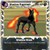 :iconpokemonisawesome500: