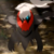 :iconpokemonloverdude: