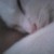 :iconpokewarstartsnow: