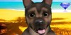 :iconpokey-foopets: