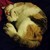 :iconpokey-the-great: