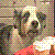 :iconpokeypierce:
