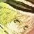 :iconpoland0303: