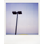:iconpolapack: