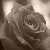 :iconpolaris123: