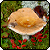 :iconpolaroid-dragon:
