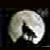 :iconpolarwoelfin1984: