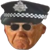 :iconpolicemanplz: