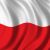 :iconpolishfan: