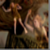 :iconpolkadot-doom: