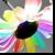 :iconpolkadotcarnival: