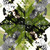 :iconpolkafish465: