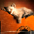 :iconpolly12: