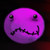 :iconpolonortefick: