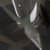 :iconpoly-morph: