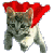 :iconpoly451: