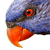 :iconpolygamous-parrot: