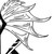 :iconpolymotion: