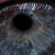 :iconpomegranate-pie: