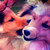 :iconpomeliten:
