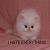 :iconpomeranian-swan: