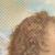 :iconPomme-de-Reinette: