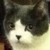 pondis-dant :iconpondis-dant: