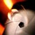 :iconpone13: