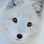 :iconponies-life-music1: