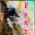 :iconponies44: