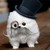 :iconponky011: