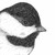 :iconpontfarrer: