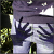 :iconponura-bazylia: