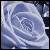 :iconpony-flower: