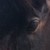 :iconpony01: