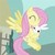:iconponyfluttershy: