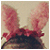 :iconponyhonymony: