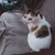 ponylover0011 :iconponylover0011: