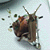 :iconpoodoo: